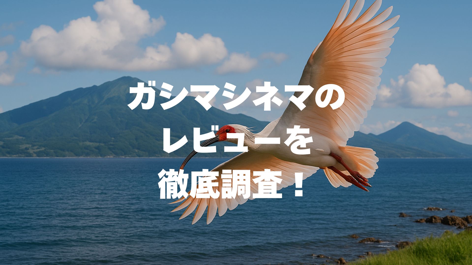 ガシマシネマのレビューを徹底調査！評判の音響やカレーの美味しさは本当？