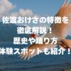 佐渡おけさの特徴を徹底解説！歴史や踊り方、体験スポットも紹介！