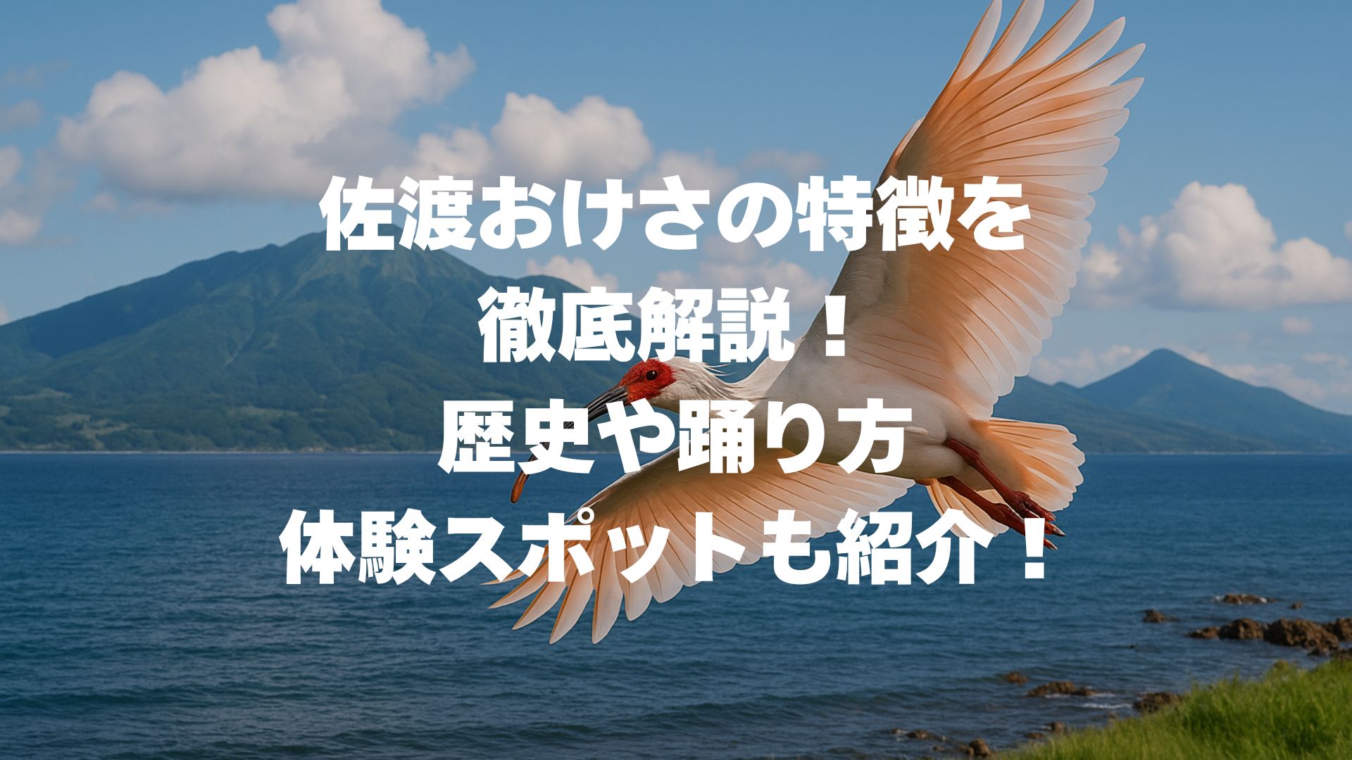 佐渡おけさの特徴を徹底解説！歴史や踊り方、体験スポットも紹介！