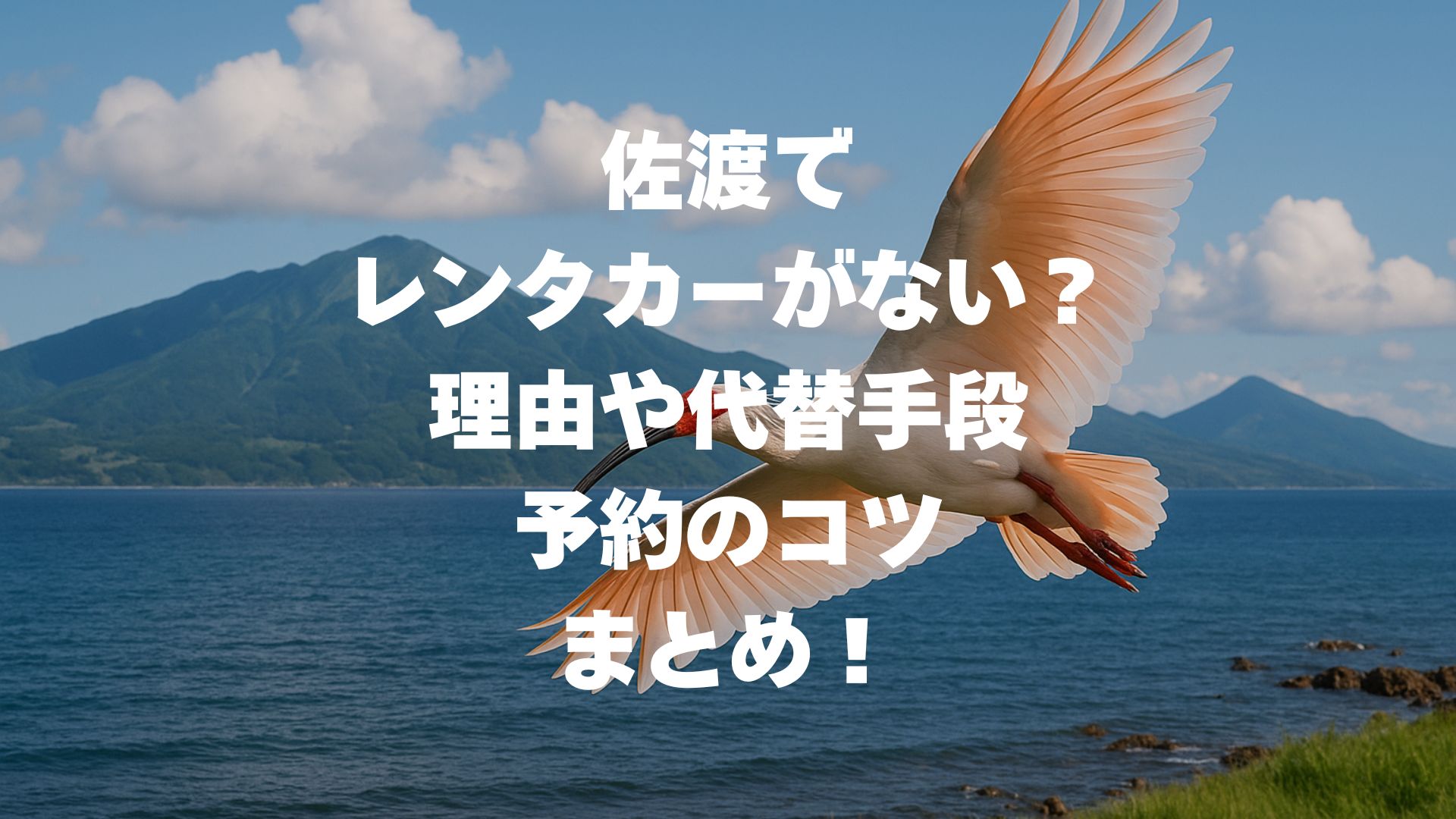 佐渡でレンタカーがない？理由や代替手段、予約のコツまとめ！