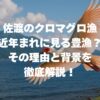 佐渡のクロマグロ漁が近年まれに見る豊漁？その理由と背景を徹底解説！