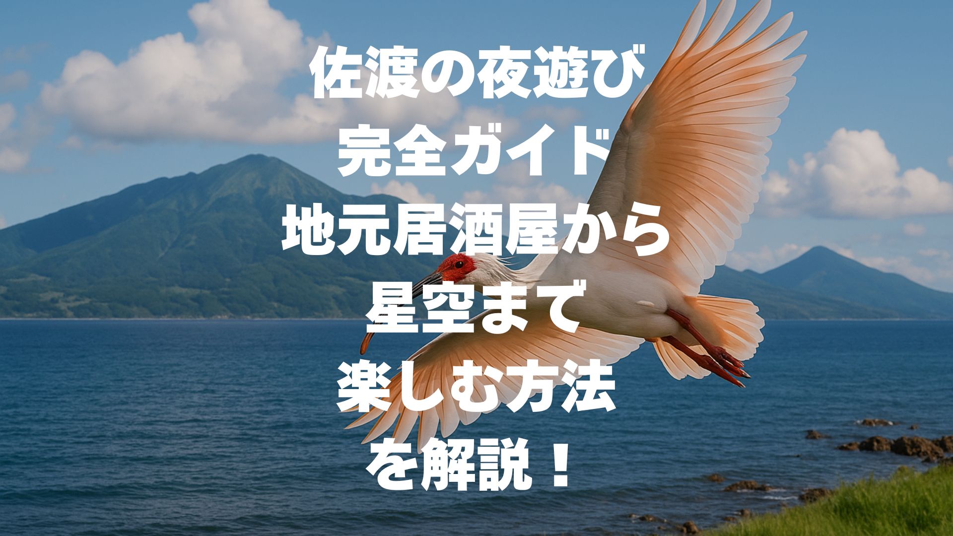 佐渡の夜遊び完全ガイド｜地元居酒屋から星空まで楽しむ方法を解説！