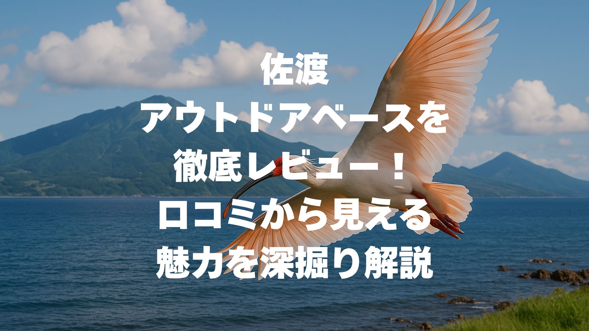 佐渡アウトドアベースを徹底レビュー！口コミから見える魅力を深掘り解説