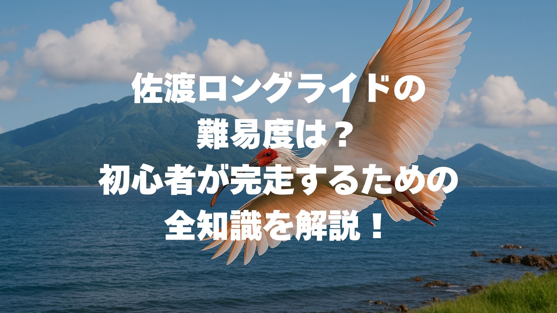 佐渡ロングライドの難易度は？初心者が完走するための全知識！