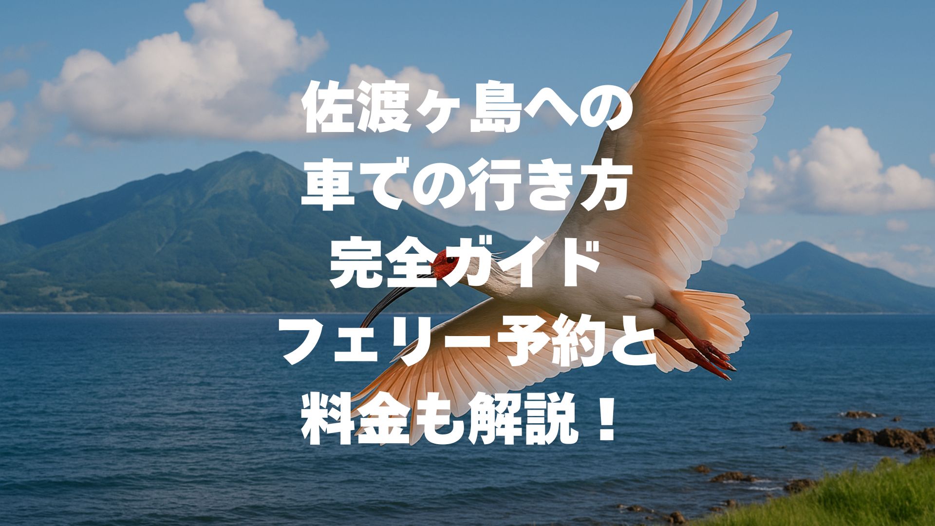 佐渡ヶ島への車での行き方 完全ガイド｜フェリー予約と料金も解説！