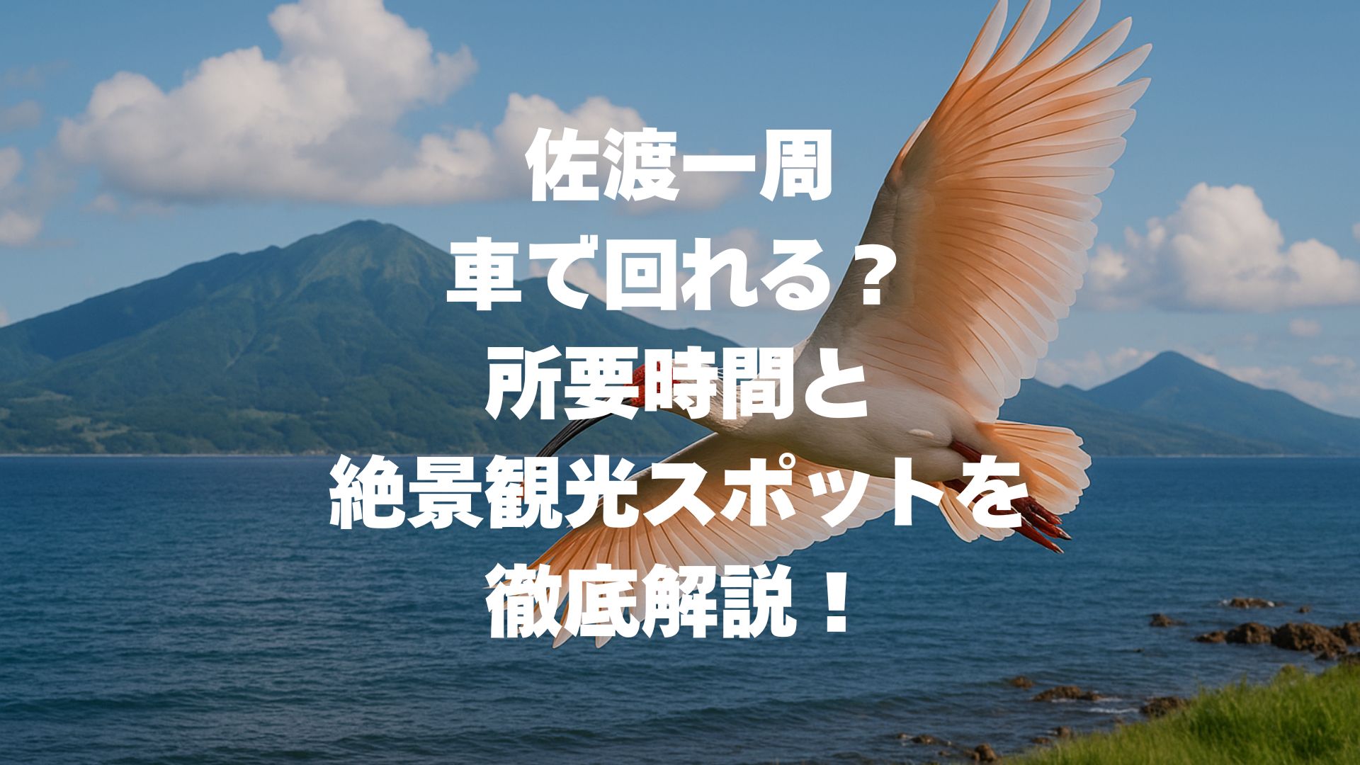 佐渡一周は車で回れる？所要時間と絶景観光スポットを徹底解説！