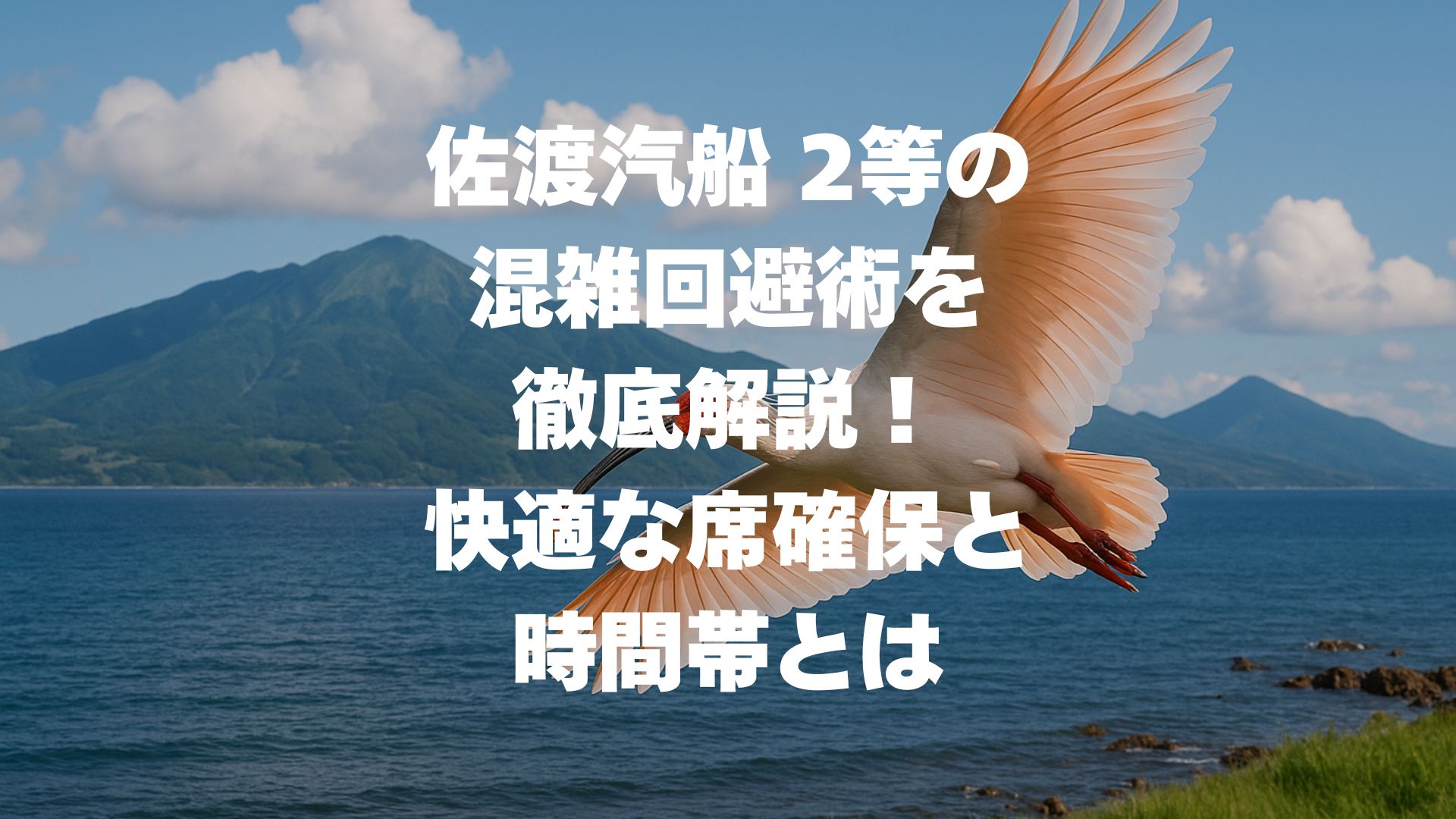佐渡汽船 2等の混雑回避術を徹底解説！快適な席確保と時間帯とは