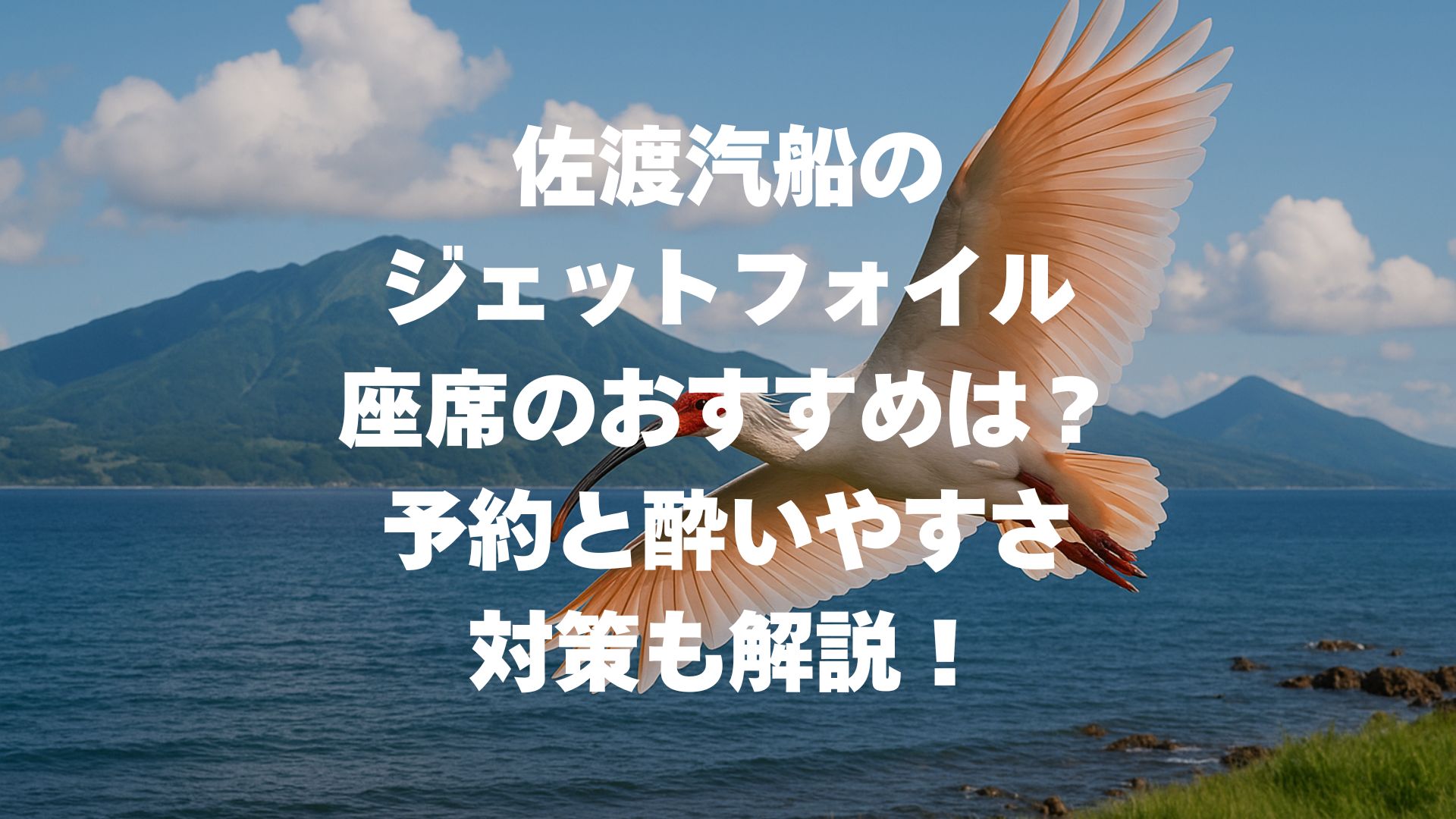 佐渡汽船のジェットフォイル 座席のおすすめは？予約と酔いやすさ対策も解説！