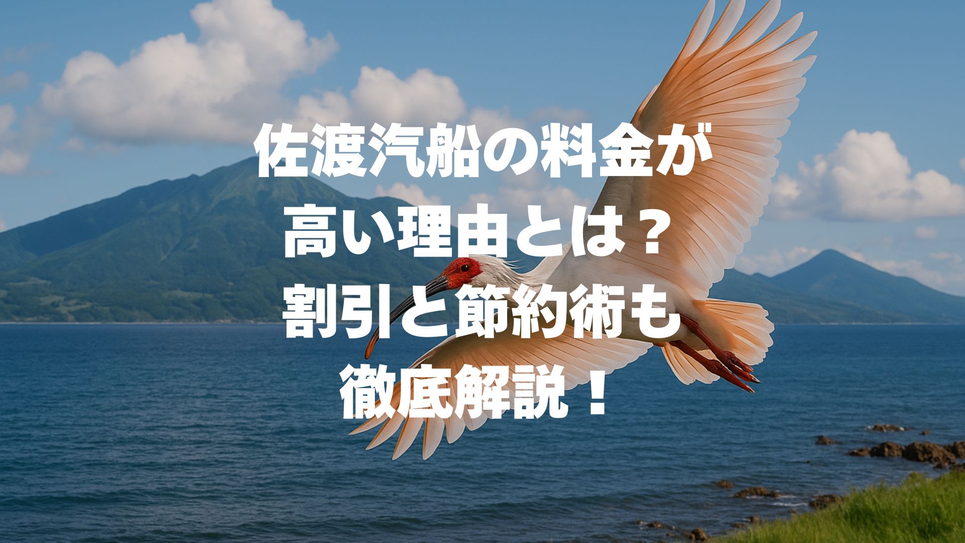 佐渡汽船の料金が高い理由とは？割引と節約術も徹底解説！