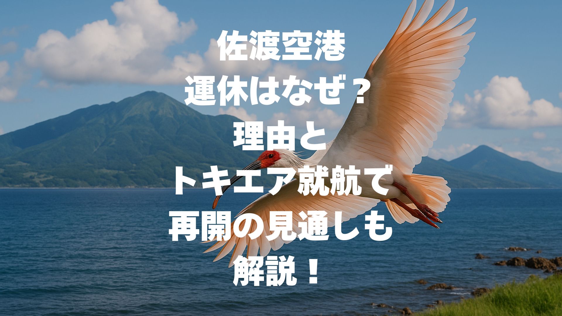 佐渡空港の運休はなぜ？理由とトキエア就航で再開の見通しも解説！