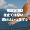 佐渡空港は廃止ではない！運休はいつまで？定期便復活の最新情報を解説