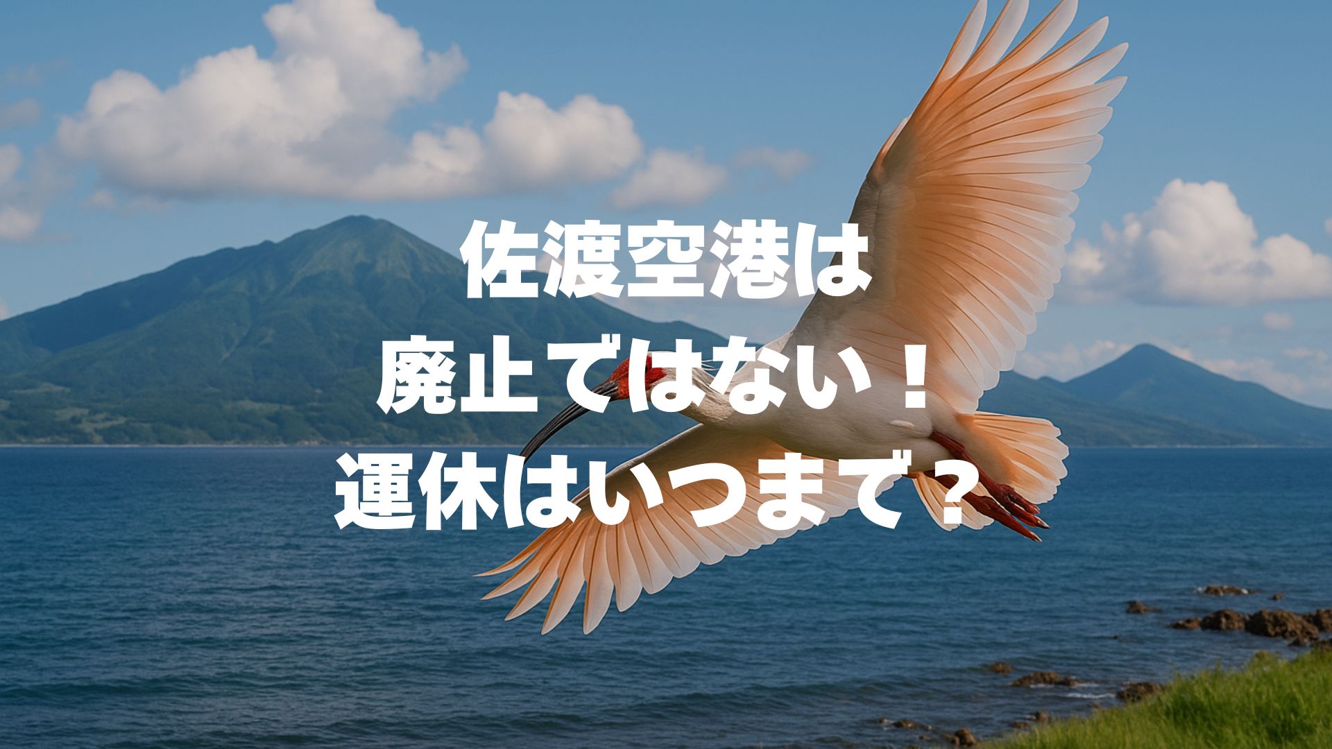 佐渡空港は廃止ではない！運休はいつまで？定期便復活の最新情報を解説