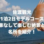 佐渡観光1泊2日モデルコース｜車なしで楽しむ絶景と名所を紹介！