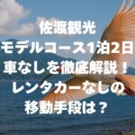 佐渡観光モデルコース1泊2日車なしを徹底解説！レンタカーなしの移動手段は？