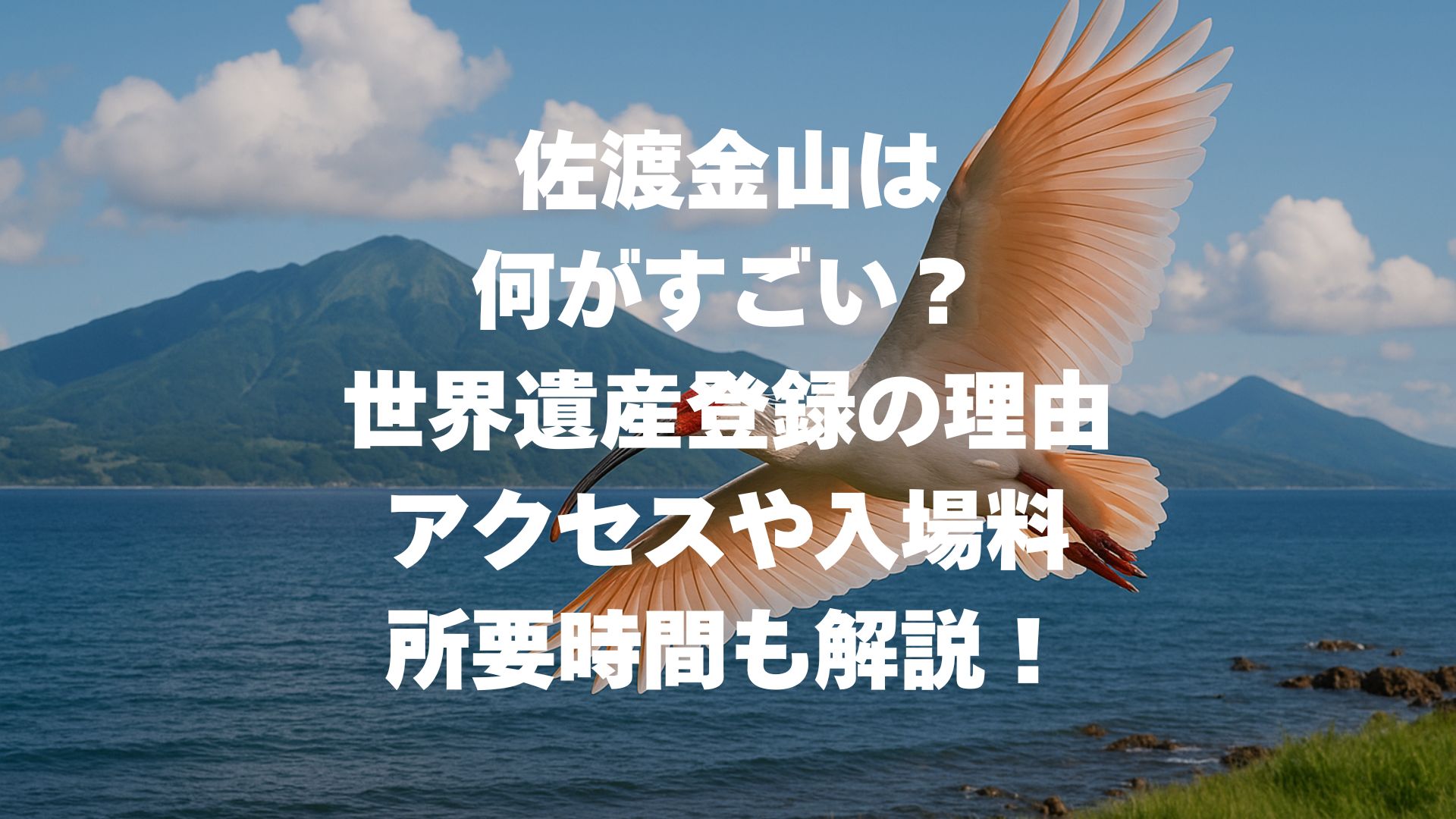 佐渡金山は何がすごい？世界遺産登録の理由やアクセス・入場料・所要時間も解説！