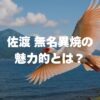 佐渡 無名異焼の魅力とは？長く使うためのコツや購入方法も解説！