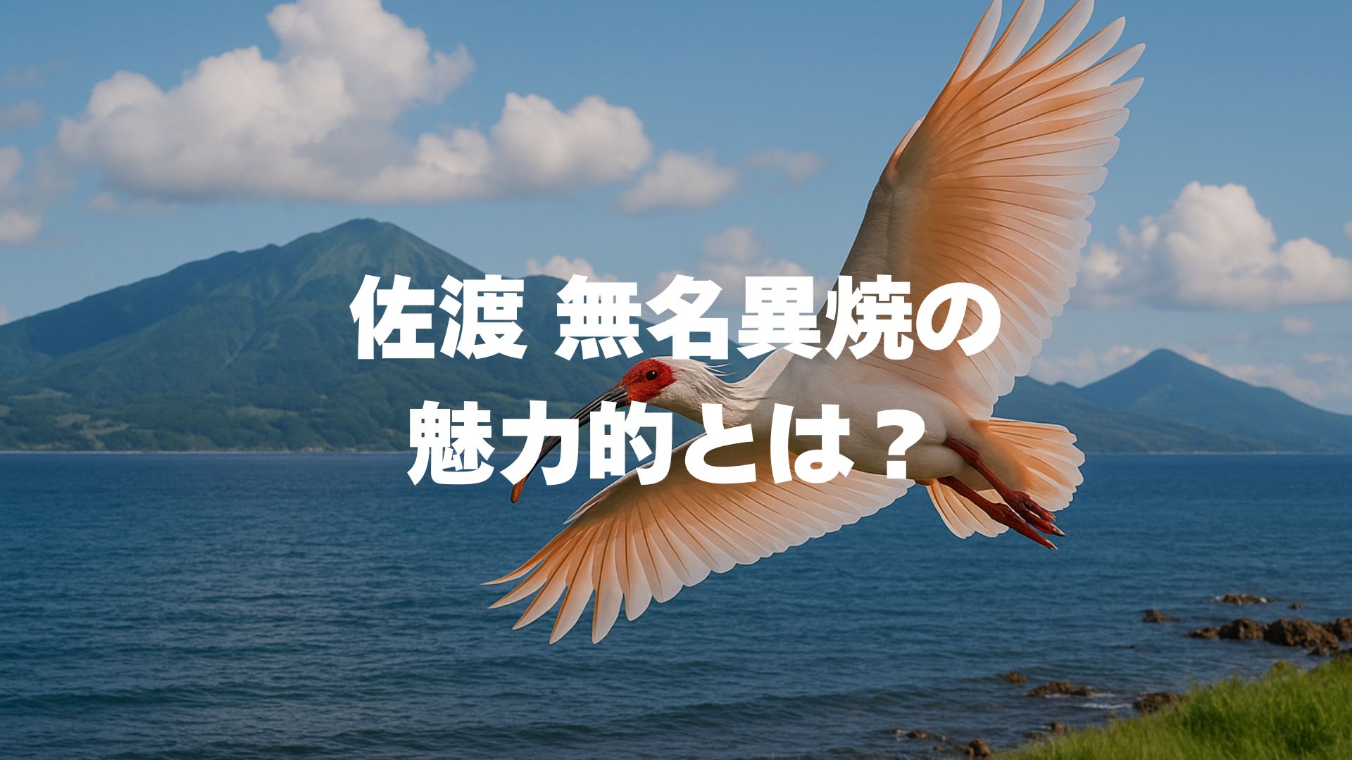 佐渡 無名異焼の魅力とは？長く使うためのコツや購入方法も解説！