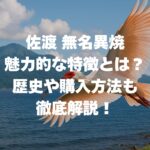佐渡 無名異焼の魅力的な特徴とは？歴史や購入方法も徹底解説！