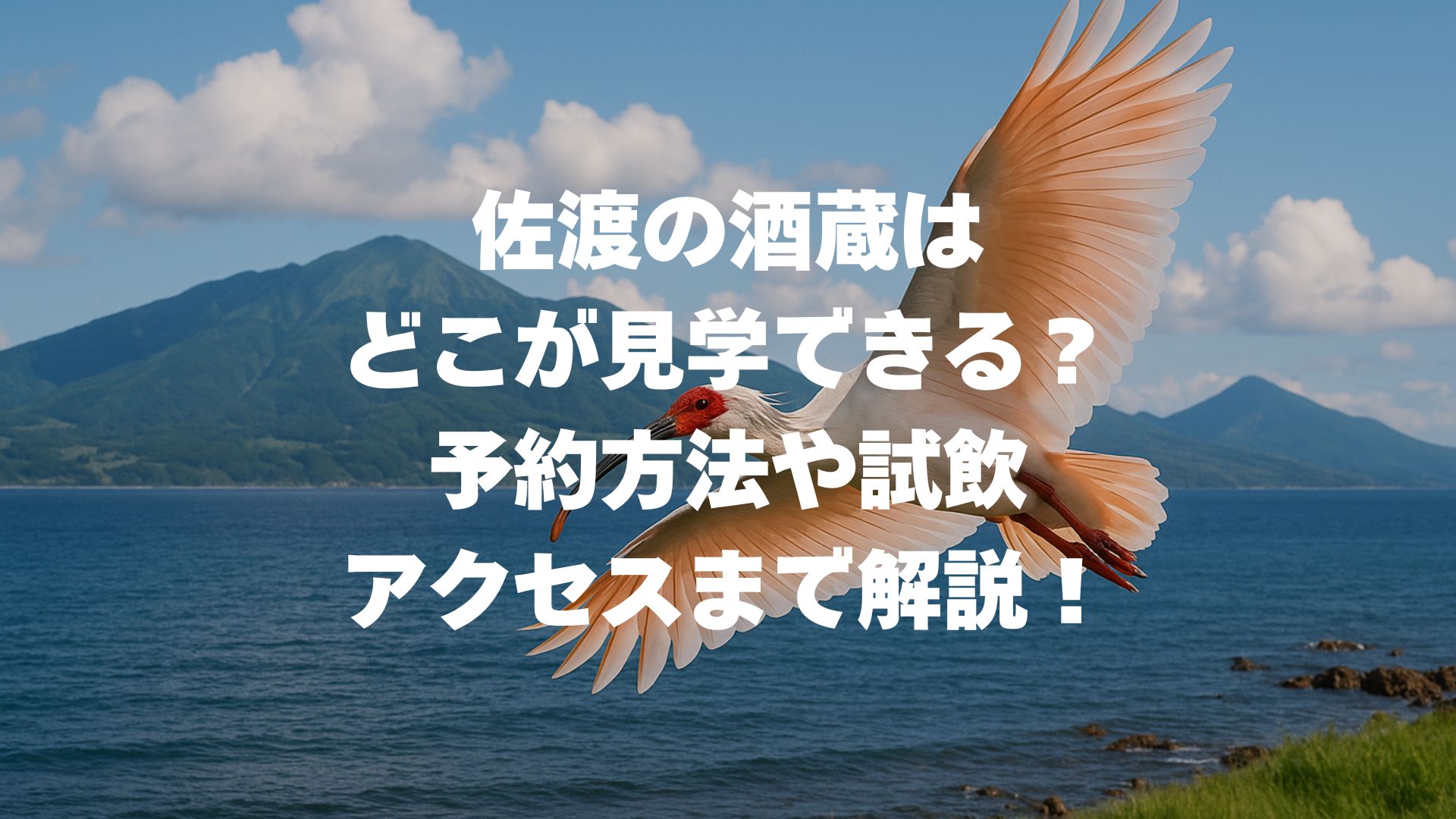 佐渡の酒蔵はどこが見学できる？予約方法や試飲・アクセスまで解説！