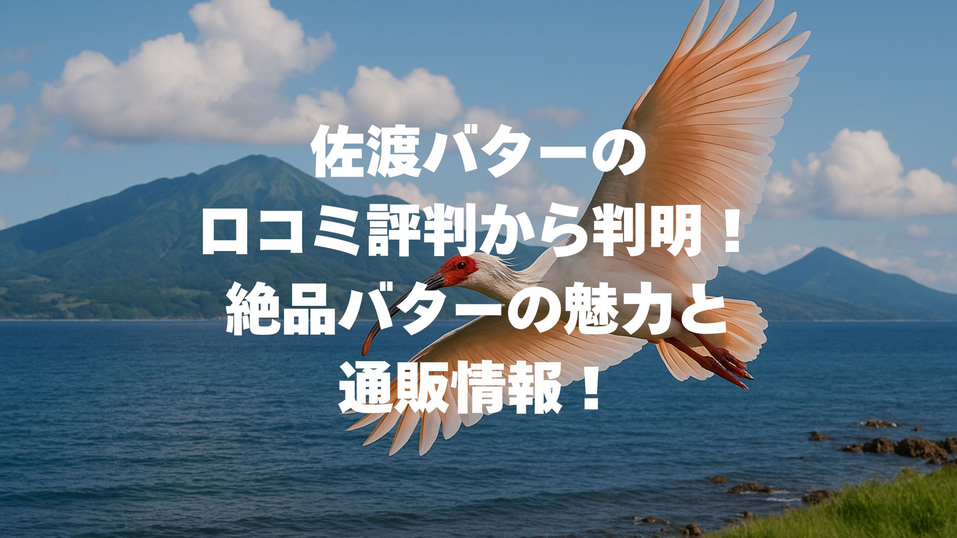 佐渡バターの口コミ評判から判明！絶品バターの魅力と通販情報！