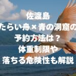 佐渡島 たらい舟×青の洞窟の予約方法は？体重制限や落ちる危険性も解説