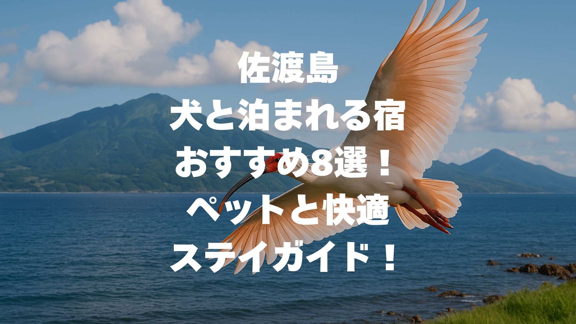 佐渡島で犬と泊まれる宿おすすめ8選！ペットと快適ステイガイド！