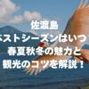 佐渡島のベストシーズンはいつ？春夏秋冬の魅力と観光のコツを解説！