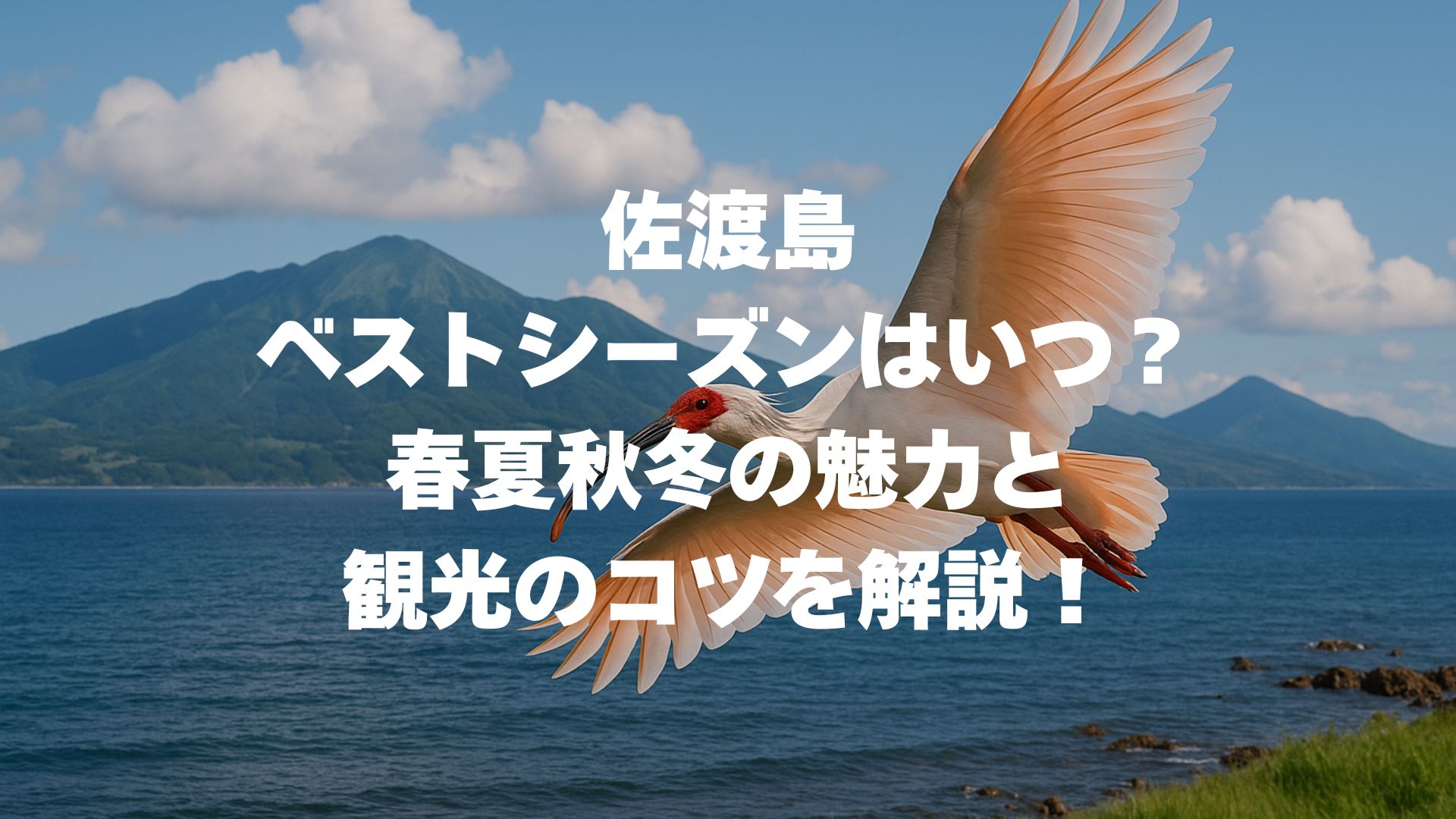 佐渡島のベストシーズンはいつ？春夏秋冬の魅力と観光のコツを解説！