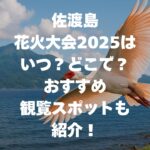 佐渡島の花火大会2025はいつ？どこで？おすすめ観覧スポットも紹介！