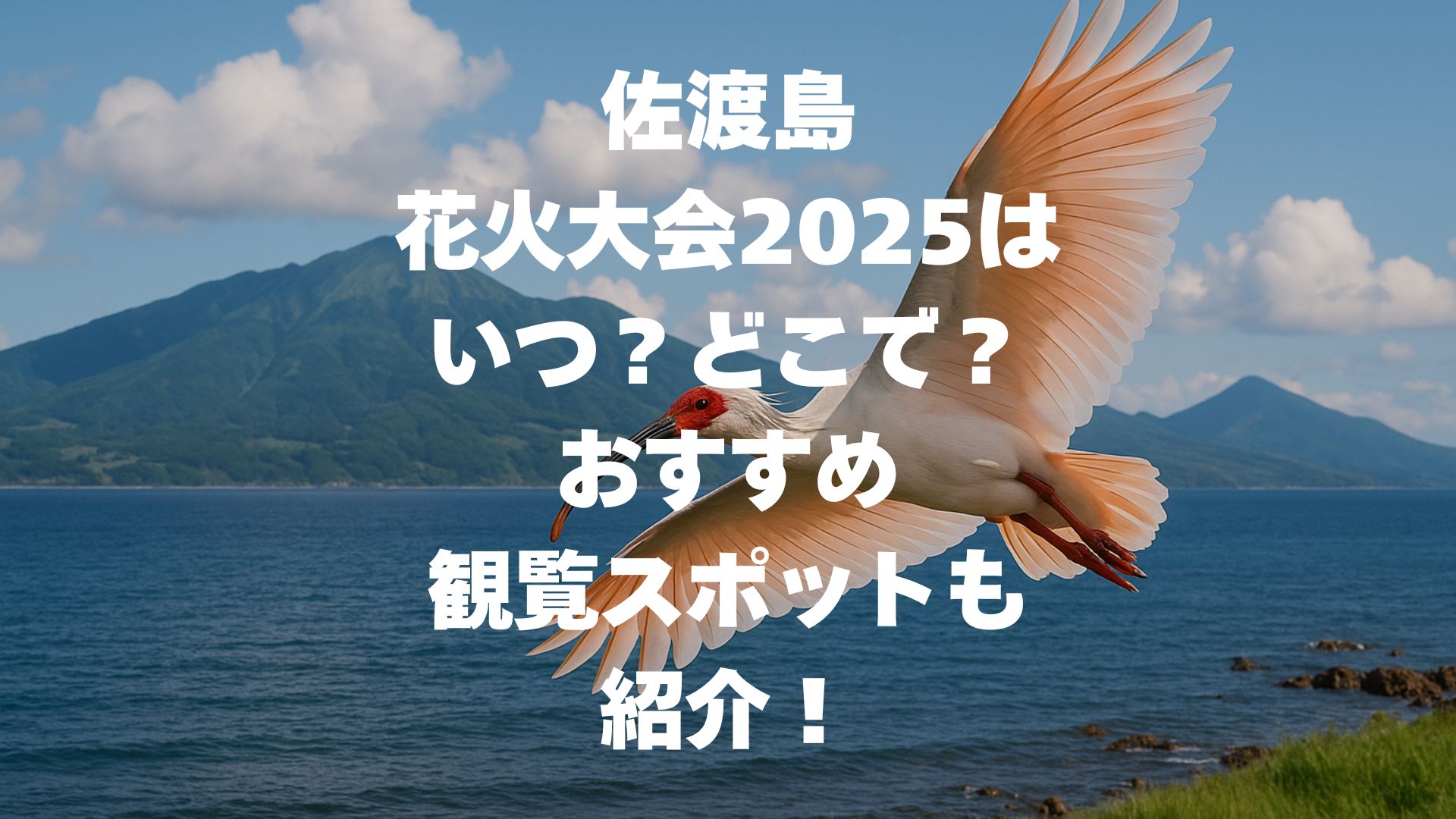 佐渡島の花火大会2025はいつ？どこで？おすすめ観覧スポットも紹介！