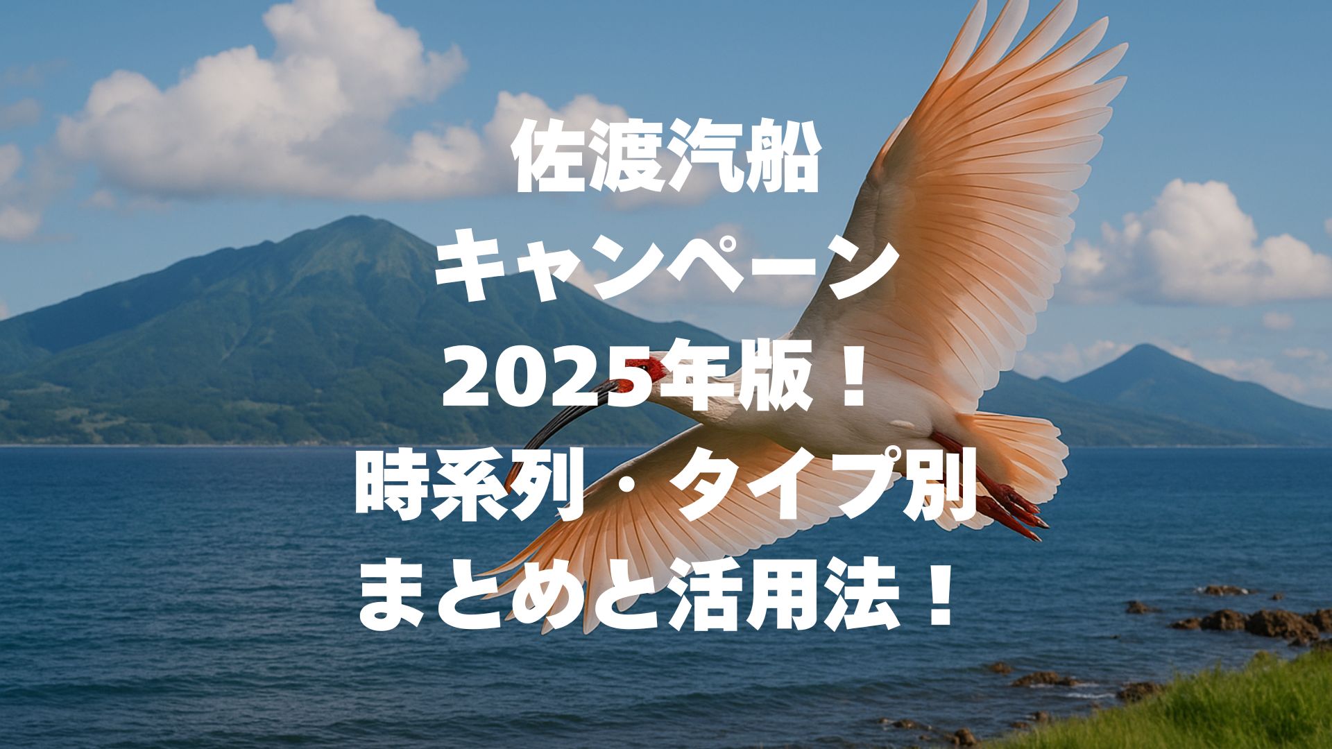 佐渡汽船のキャンペーン2025年版！時系列・タイプ別まとめと活用法！