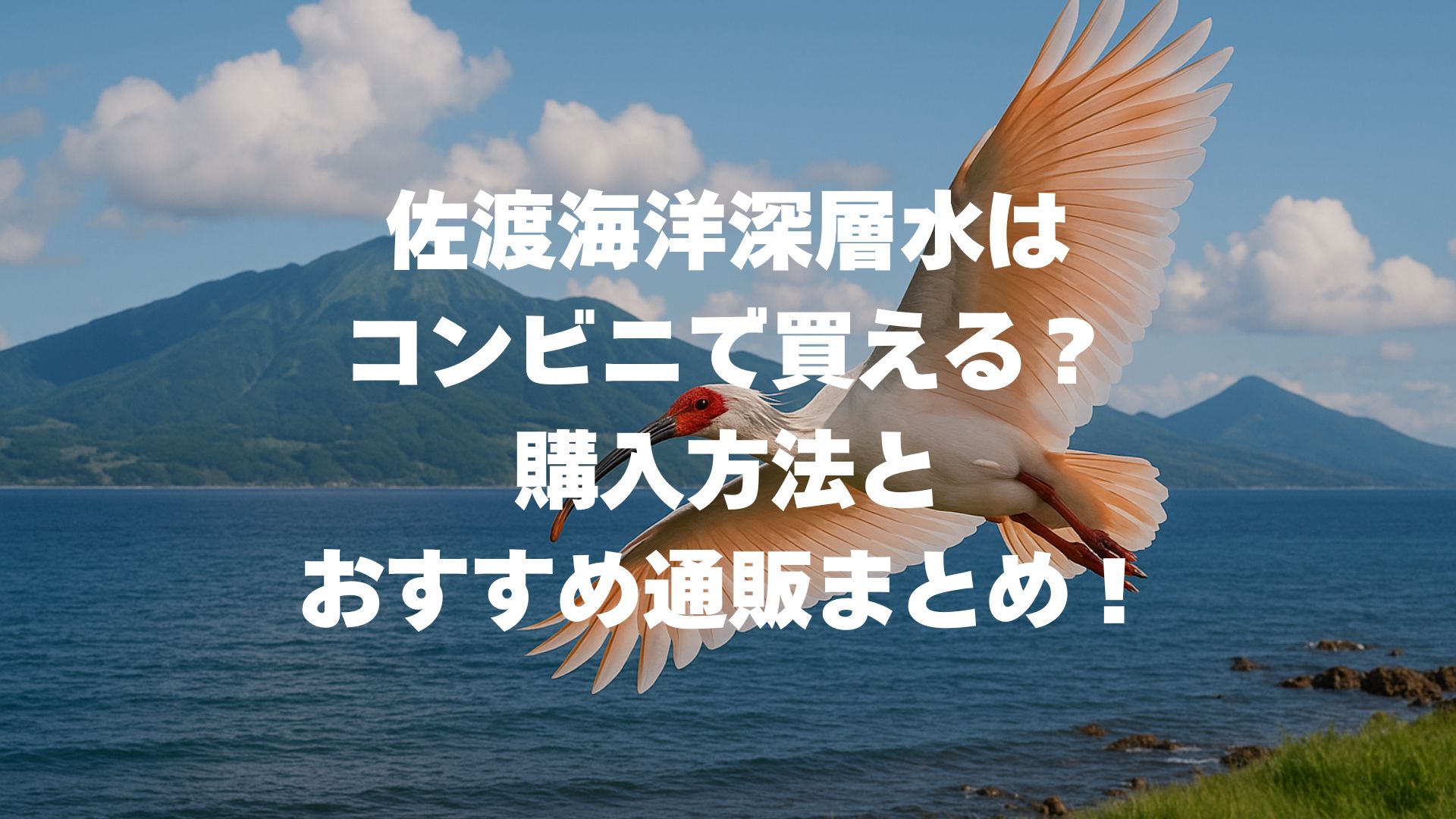 佐渡海洋深層水はコンビニで買える？購入方法とおすすめ通販まとめ！