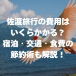 佐渡旅行の費用はいくらかかる？宿泊・交通・食費の節約術も解説！