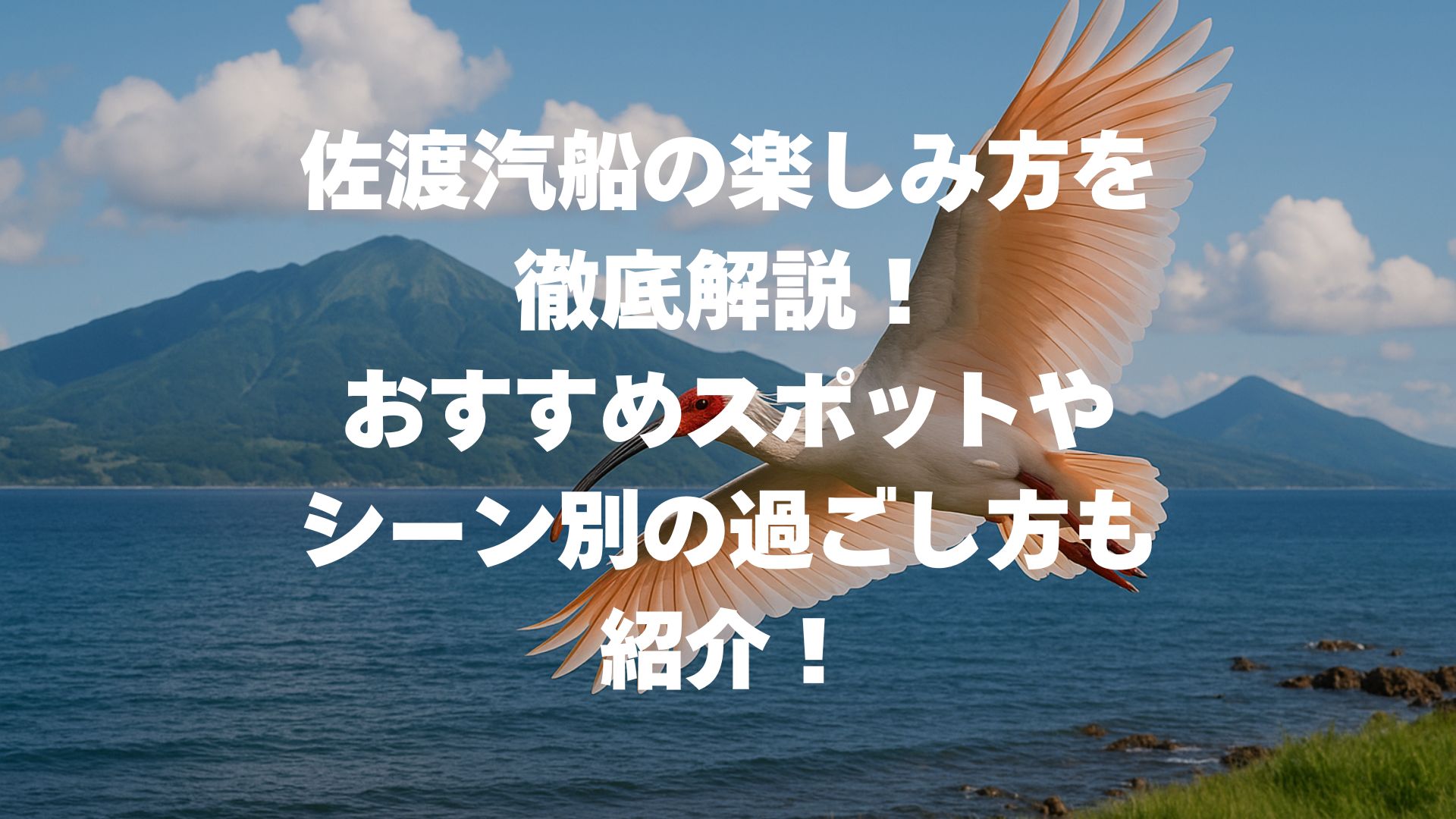 佐渡汽船の楽しみ方を徹底解説！おすすめスポットやシーン別の過ごし方も紹介！