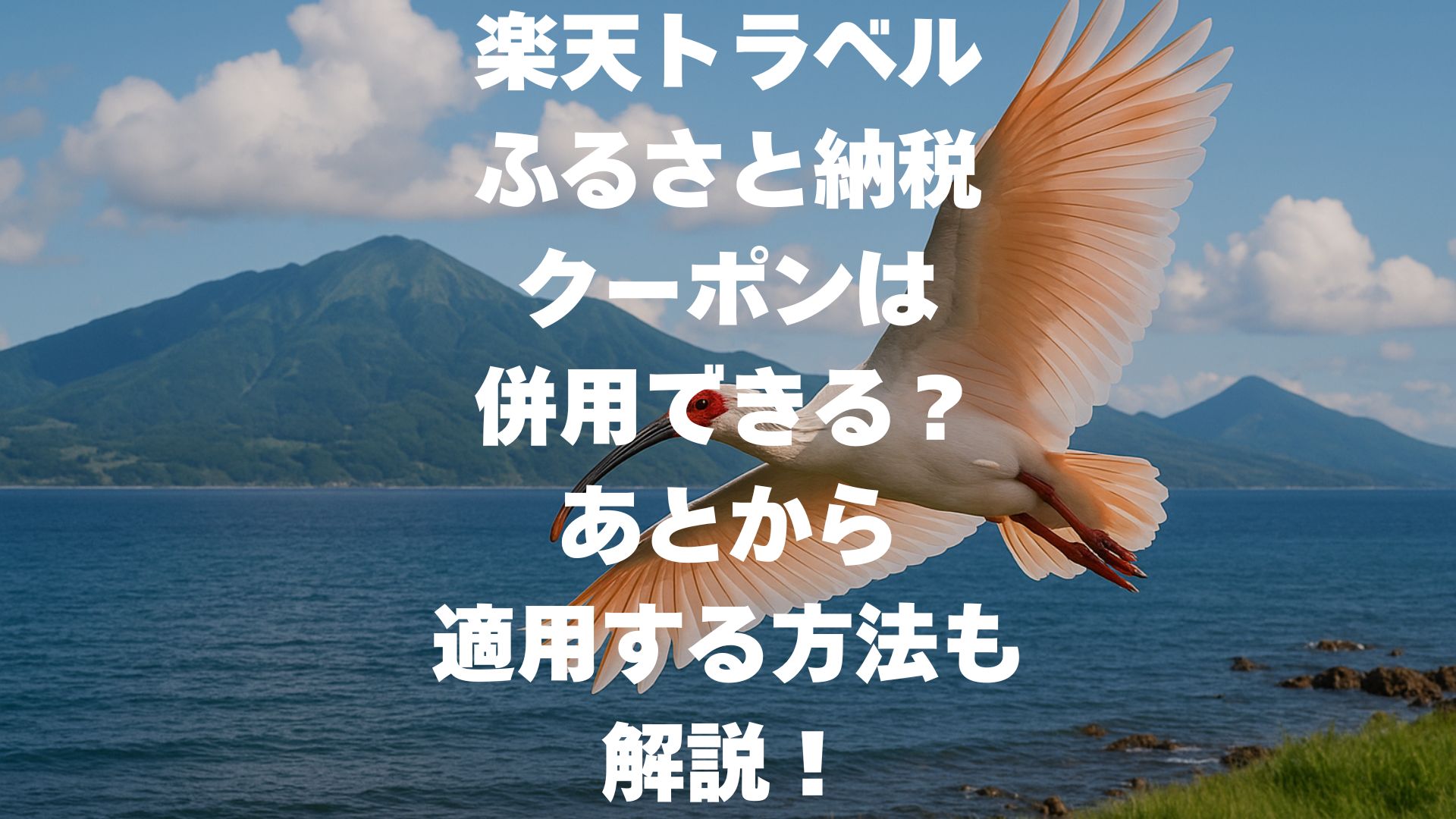 楽天トラベルのふるさと納税クーポンは併用できる？あとから適用する方法も解説！