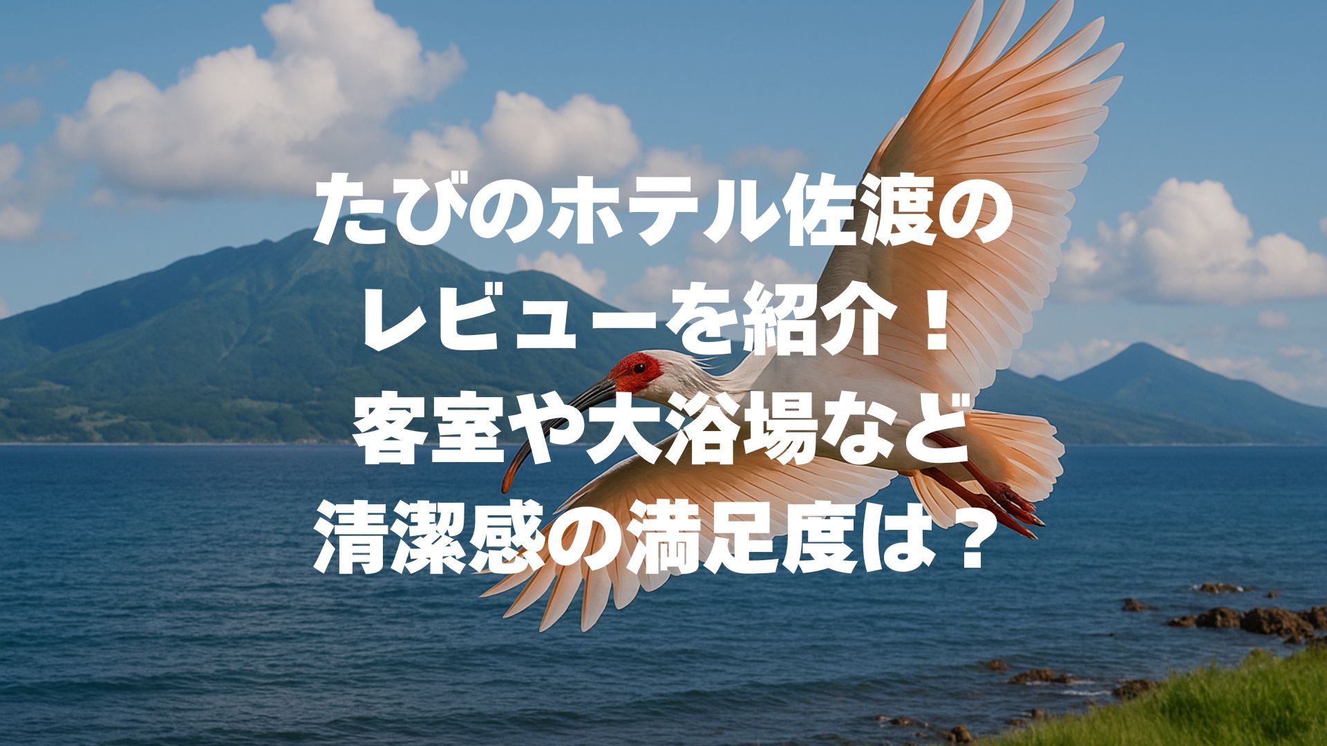 たびのホテル佐渡のレビューを紹介！客室や大浴場など清潔感の満足度は？