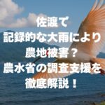 佐渡で記録的な大雨により農地被害？農水省の調査支援を徹底解説！