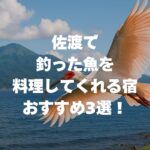 佐渡で釣った魚を料理してくれる宿おすすめ3選！選び方のポイントも解説