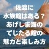 佐渡に水族館はある？あげしま海のでじたる館の魅力と楽しみ方を解説！