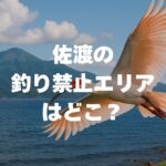 佐渡の釣り禁止エリアはどこ？立入禁止の漁港リストから守るべき全ルールまで解説！
