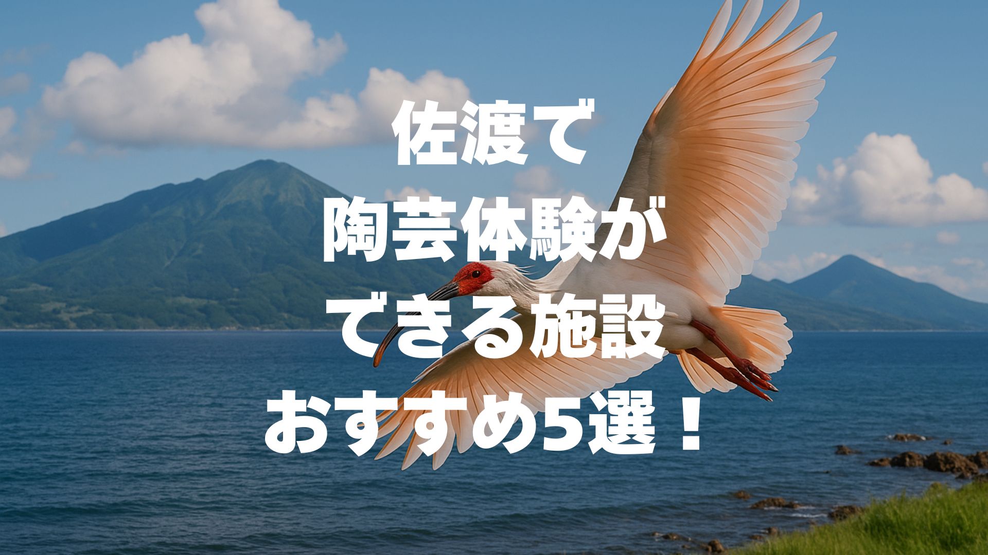 佐渡の陶芸体験施設おすすめ5選を紹介！所要時間・料金・持ち物まとめ