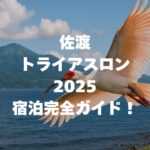 佐渡トライアスロン2025の宿泊完全ガイド！会場近くのおすすめ宿と予約のコツ
