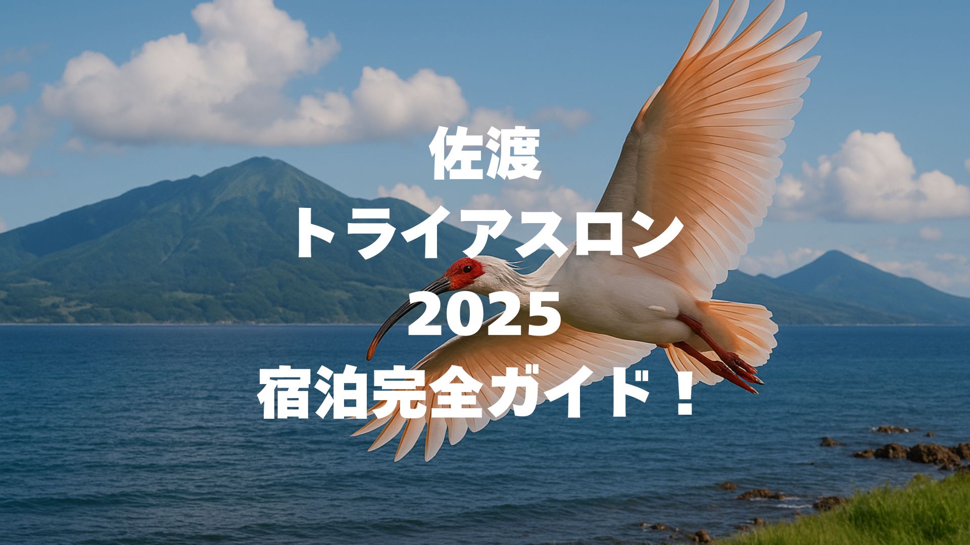 佐渡トライアスロン2025の宿泊完全ガイド！会場近くのおすすめ宿と予約のコツ