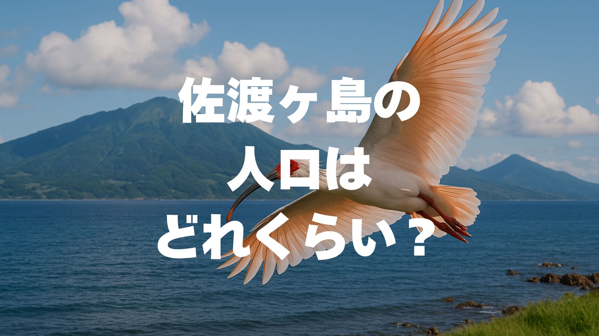 佐渡ヶ島の人口はどれくらい？最新データと推移、暮らしの魅力まで徹底解説！