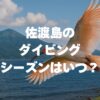 佐渡島のダイビングシーズンはいつ？ベスト時期や水温を徹底解説！