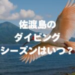 佐渡島のダイビングシーズンはいつ？ベスト時期や水温を徹底解説！