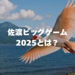 佐渡ビッグゲーム2025とは？日程・ルール・参加方法を徹底解説！