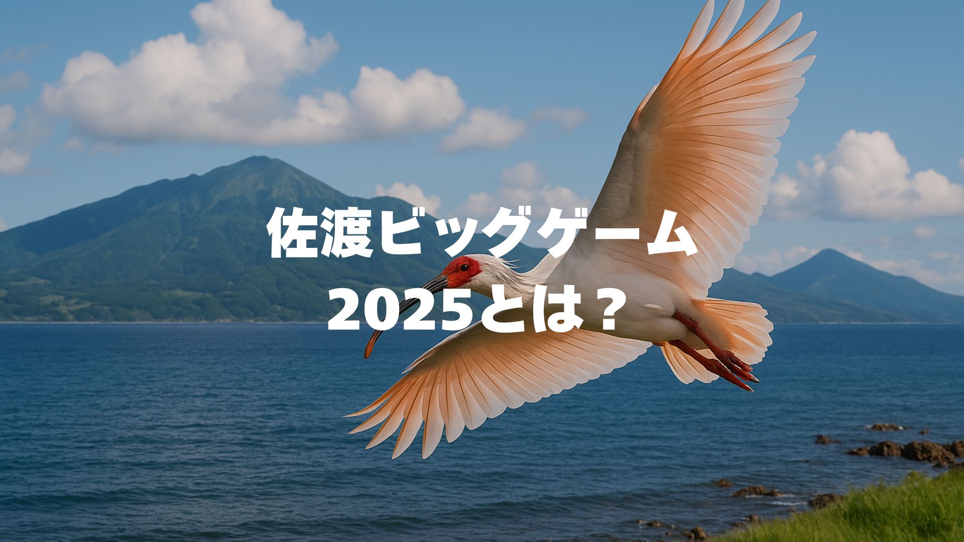 佐渡ビッグゲーム2025とは？日程・ルール・参加方法を徹底解説！