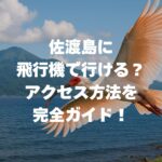 佐渡島に飛行機で行ける？アクセス方法を完全ガイド【2025年最新】