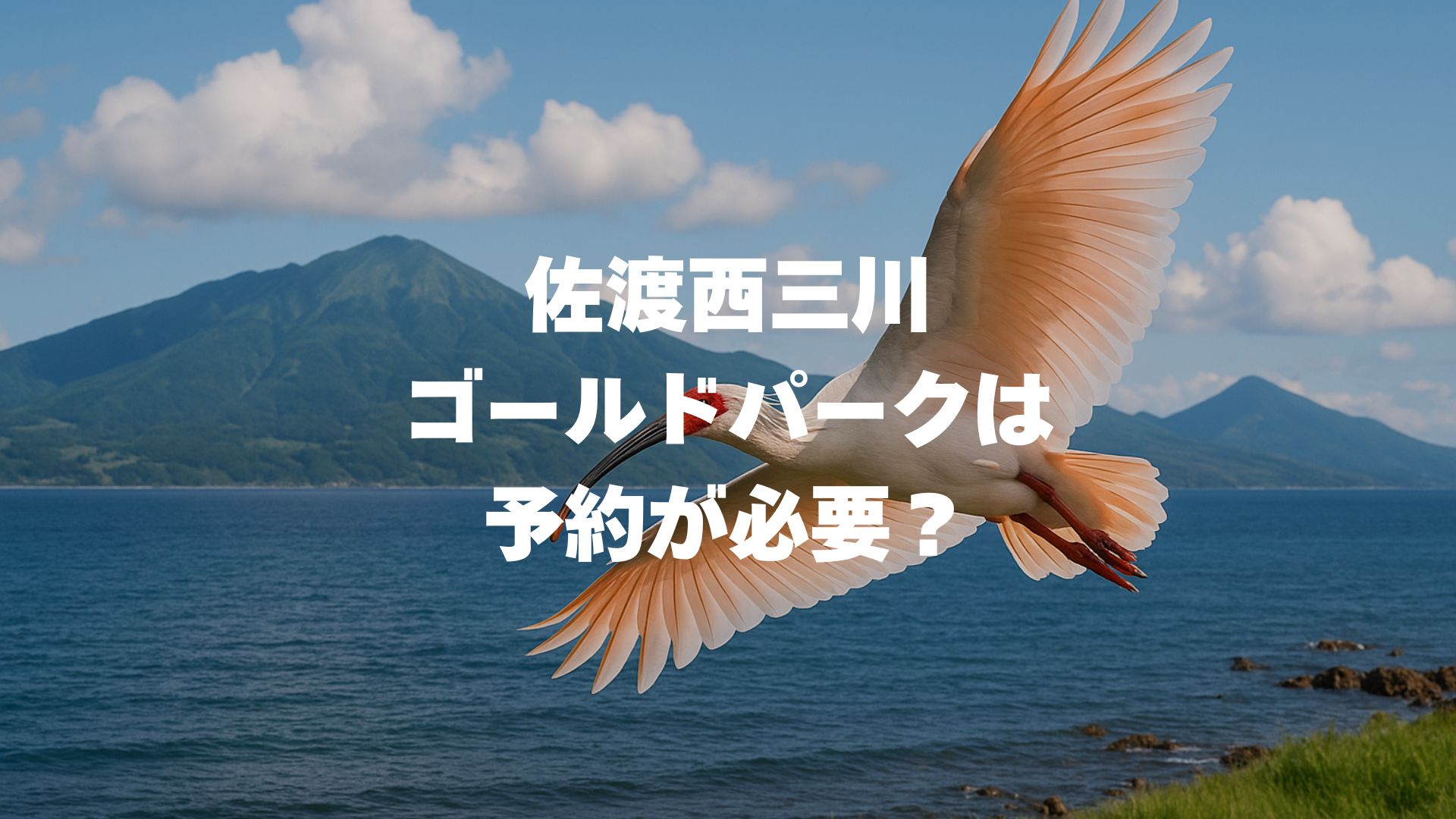 佐渡西三川ゴールドパークは予約が必要？体験方法・料金・アクセスを解説！
